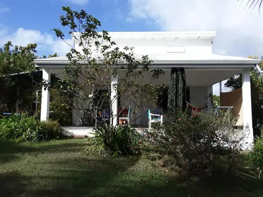 別荘 Gite Tropicool Dans Jardin Tropical A Sainte-Anne グアドループ