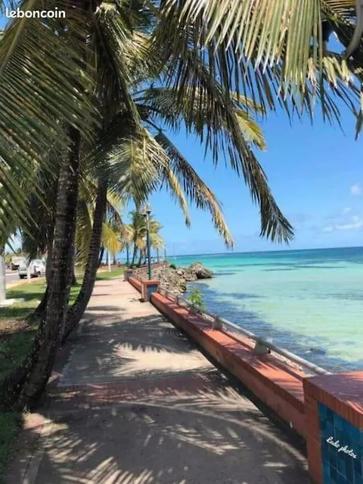 Gite Tropicool Dans Jardin Tropical A Sainte-Anne 別荘