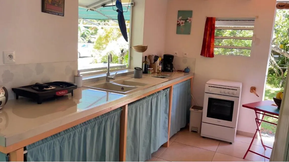 Gite Tropicool Dans Jardin Tropical A Sainte-Anne 別荘 サンタンヌ