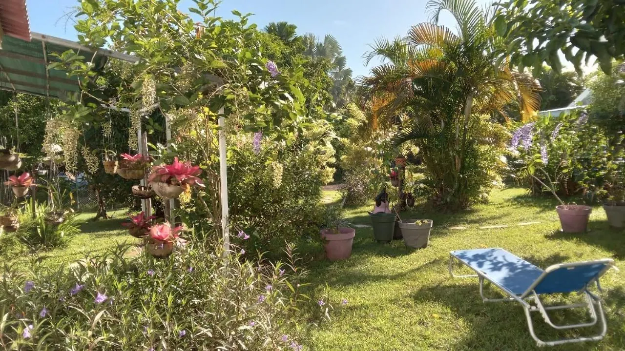 Gite Tropicool Dans Jardin Tropical A Sainte-Anne グアドループ