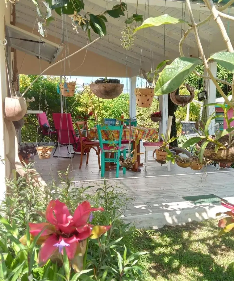 Gite Tropicool Dans Jardin Tropical A Sainte-Anne