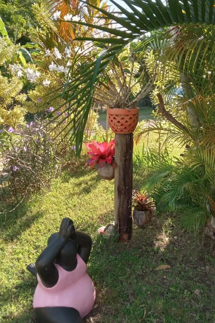 Gite Tropicool Dans Jardin Tropical A Sainte-Anne サンタンヌ